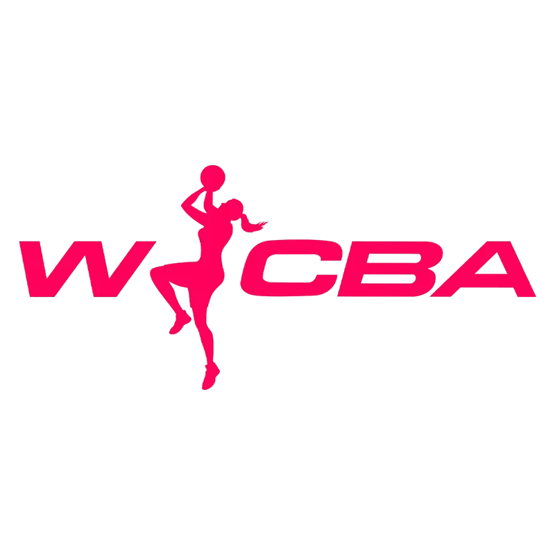 WCBA 武汉盛帆黄鹤vs陕西天泽20241117